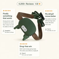PawTherapy - 4D Shiatsu Dog Massager