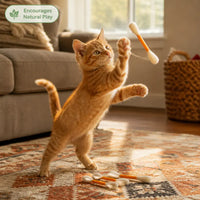 MegaSwabs - Giant Cotton Swab Cat Toys (6-Pack)
