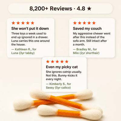 MegaSwabs - Giant Cotton Swab Cat Toys (6-Pack)