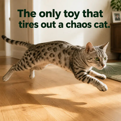 SmartSnake - Interactive Sensing Cat Toy