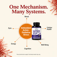 Ventra - Saffron Extract Capsules