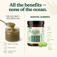 SeaVital 16-in-1 - Seaweed Immunity Gummies
