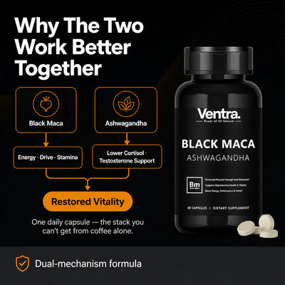 IronRoot - Black Maca Stamina Formula