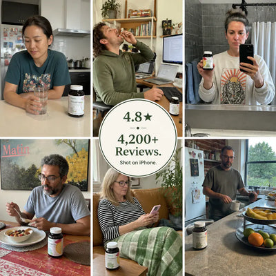 KimchiBiotic - Fermented Gut Capsules