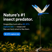 DragonClip - Realistic Bug Deterrent (3-Pack)