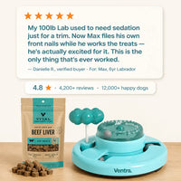 ScratchPaw - Dog Nail File & Treat Puzzle Board