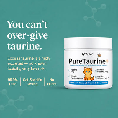 PurrHeart - Taurine Powder for Cats