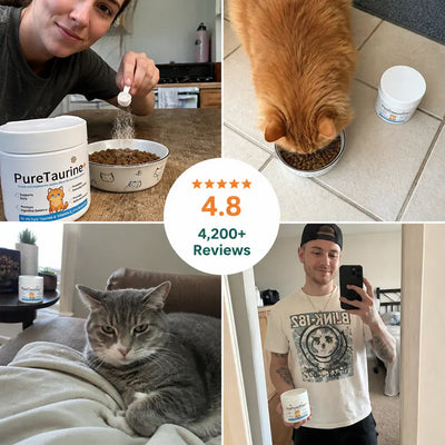 PurrHeart - Taurine Powder for Cats