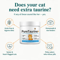 PurrHeart - Taurine Powder for Cats