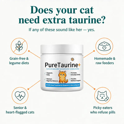 PurrHeart - Taurine Powder for Cats