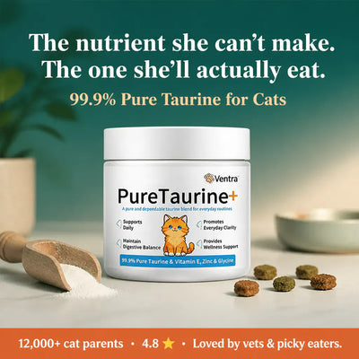 PurrHeart - Taurine Powder for Cats