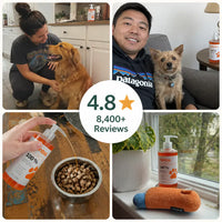 WildCoat - Pure Salmon Oil for Dogs
