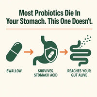 GutDaily - 60 Billion CFU Probiotic
