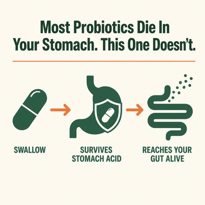 GutDaily - 60 Billion CFU Probiotic