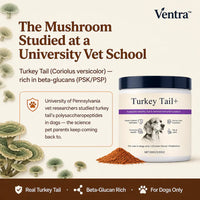 VitalPaws - All-in-One Pet Nutrition Powder