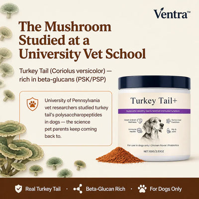 VitalPaws - All-in-One Pet Nutrition Powder