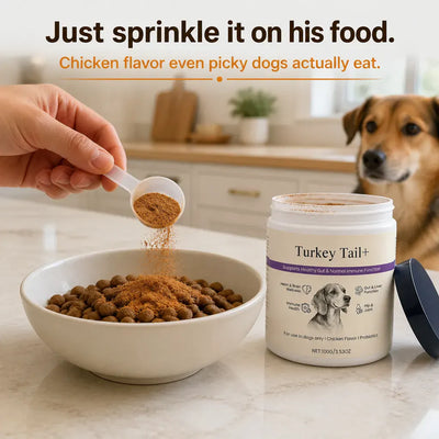 VitalPaws - All-in-One Pet Nutrition Powder