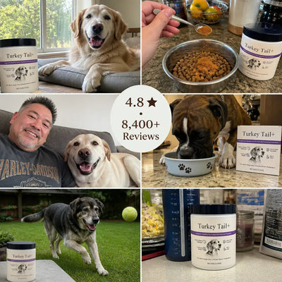 VitalPaws - All-in-One Pet Nutrition Powder