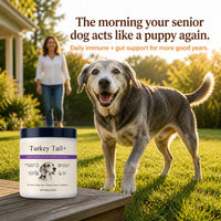 VitalPaws - All-in-One Pet Nutrition Powder