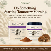 VitalPaws - All-in-One Pet Nutrition Powder