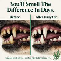 FreshFang - Pet Dental Powder
