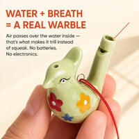 The Water Bird Whistle - Musical Toy