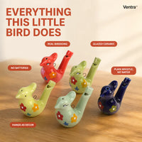 The Water Bird Whistle - Musical Toy
