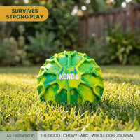 KONG The Ultimate Dog Ball
