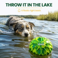 KONG The Ultimate Dog Ball
