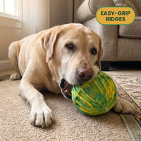 KONG The Ultimate Dog Ball