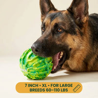 KONG The Ultimate Dog Ball