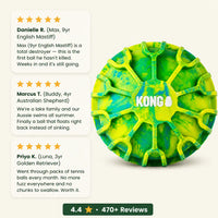 KONG The Ultimate Dog Ball