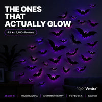 SpookGlow - 3D Bat & Spider Night Light Set