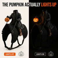 The Headless Rider - Pet Halloween Costume