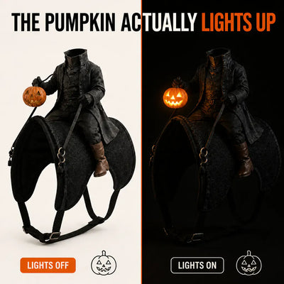 The Headless Rider - Pet Halloween Costume