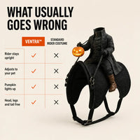The Headless Rider - Pet Halloween Costume