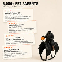 The Headless Rider - Pet Halloween Costume