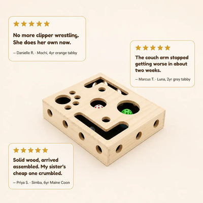 Ventra - Self-Filing Cat Nail Toy